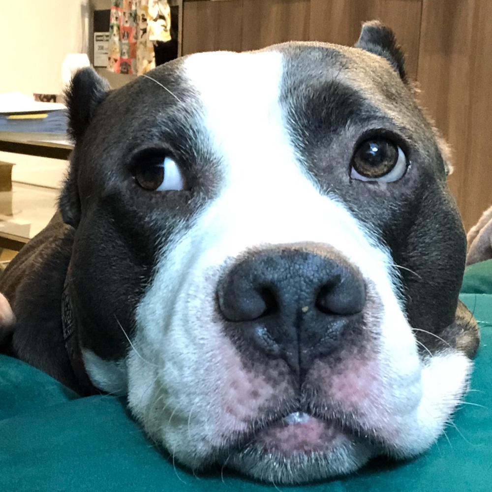 Meet your Posher, Nadia